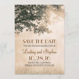 Tortelduifjes Paar Oude Boom Opslaan De Datum Uitn Save The Date