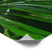 Tortelduifjes Poster (Hoek)