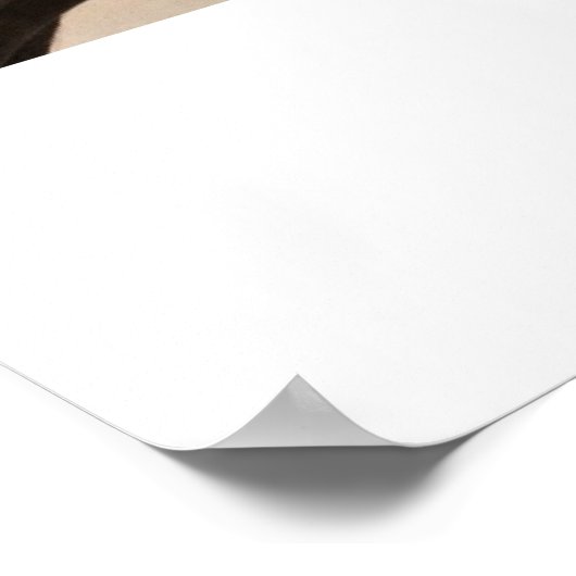 Tortelduifjes Poster (Hoek)