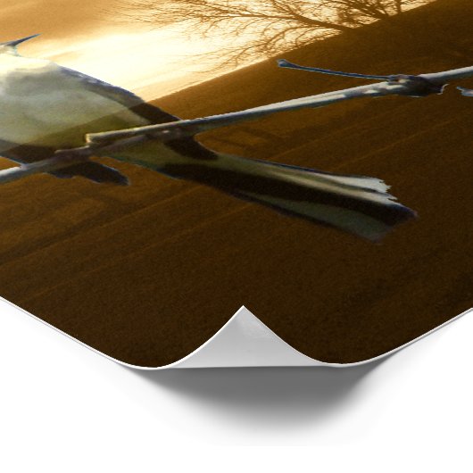 Tortelduifjes_Poster Poster (Hoek)