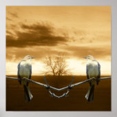 Tortelduifjes_Poster Poster (Voorkant)