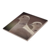Tortelduifjes Tegel Tegeltje (Zijkant)