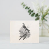  tortelduiven Vogelvogels op maat Briefkaart (Staand voorkant)