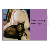 Tortie cat Paaskaart (Voorkant Horizontaal)