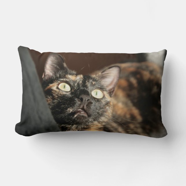tortie cat pillow kussen (Voorkant)
