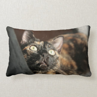 tortie cat pillow kussen