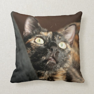 tortie cat pillow kussen
