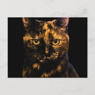 Tortie Kat Liefde Ontwerp #2 Briefkaart