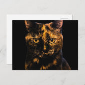 Tortie Kat Liefde Ontwerp #2 Briefkaart (Voorkant / Achterkant)