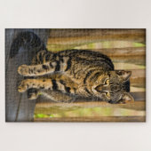 Tortie - Tortoiseshel Kat - Fotografie van gezelsc Legpuzzel (Horizontaal)