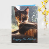 Tortie verjaardagskaart kaart (Gele Bloem)