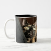 Tortitude mug - tortoiseshell cat tweekleurige koffiemok (Links)