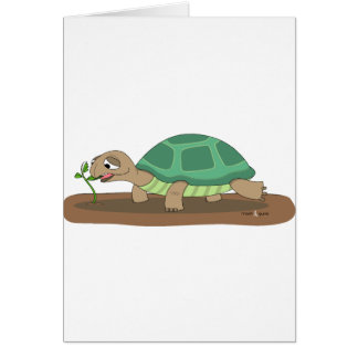 Tortoise