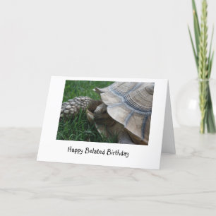 Tortoise Belated Birthday Card Kaart