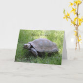 Tortoise Birthday Card Kaart (Gele Bloem)