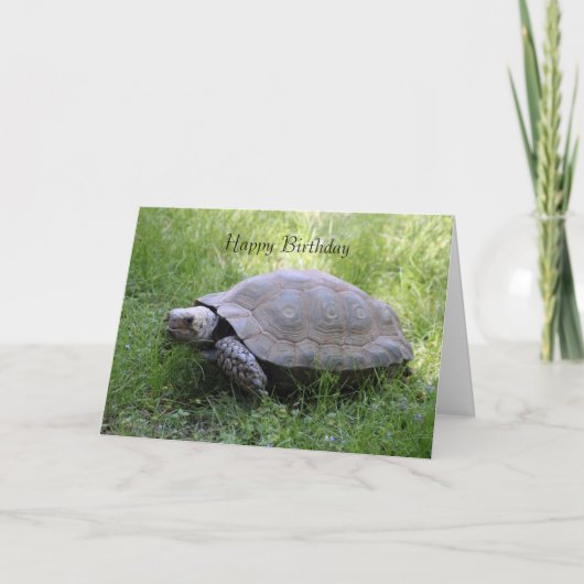 Tortoise Birthday Card Kaart (Voorkant)