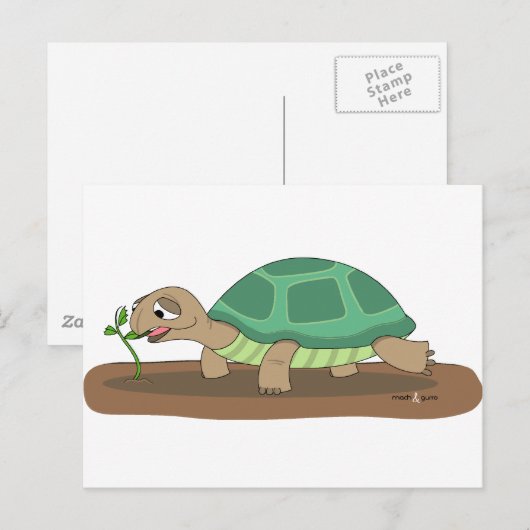 Tortoise Briefkaart (Voorkant / Achterkant)