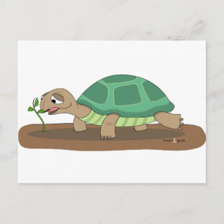 Tortoise Briefkaart