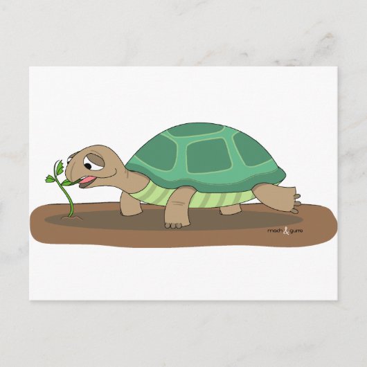 Tortoise Briefkaart (Voorkant)