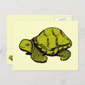Tortoise Briefkaart (Voorkant / Achterkant)