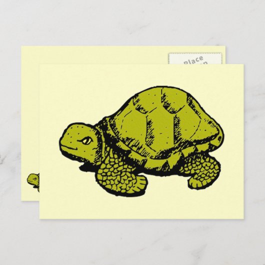 Tortoise Briefkaart (Voorkant / Achterkant)