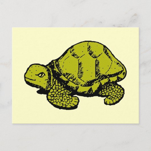 Tortoise Briefkaart (Voorkant)