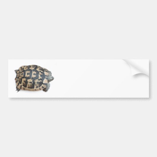 Tortoise Bumpersticker (Voorkant)