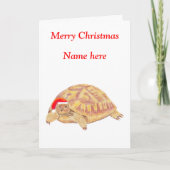 Tortoise Christmas Kaart (Voorkant)