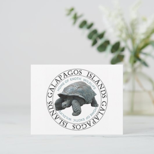 Tortoise de Galapagos Briefkaart (Staand voorkant)