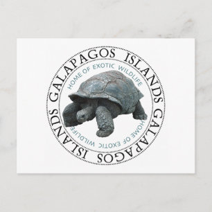 Tortoise de Galapagos Briefkaart