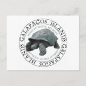Tortoise de Galapagos Briefkaart (Voorkant)