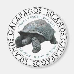 Tortoise de Galapagos Magneet