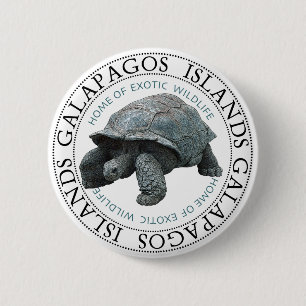 Tortoise de Galapagos Ronde Button 5,7 Cm
