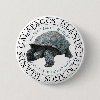 Tortoise de Galapagos Ronde Button 5,7 Cm