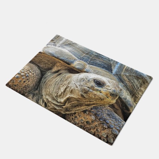 TORTOISE DEURMAT (Schuin)