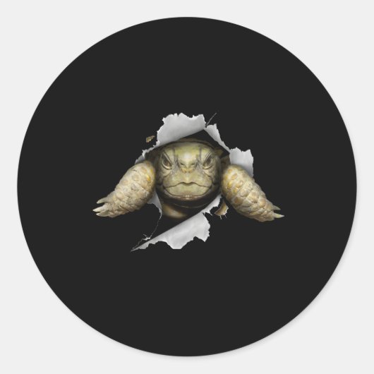 Tortoise Eigenaar Turtle Tortoise Love Tortoise Ronde Sticker (Voorkant)