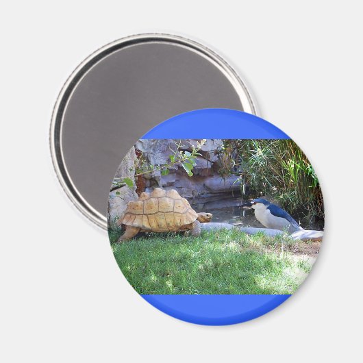 Tortoise en Blue Jay Friends Magneet (Voorkant / Achterkant)