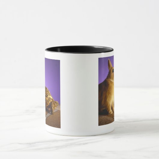 Tortoise en hazen mok (Midden)