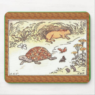 Tortoise en hazen muismat