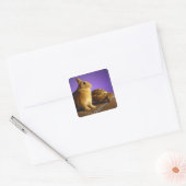 Tortoise en hazen vierkante sticker (Envelop)