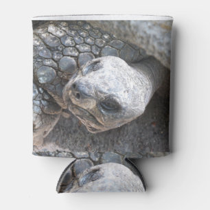 Tortoise Face Blikjeskoeler