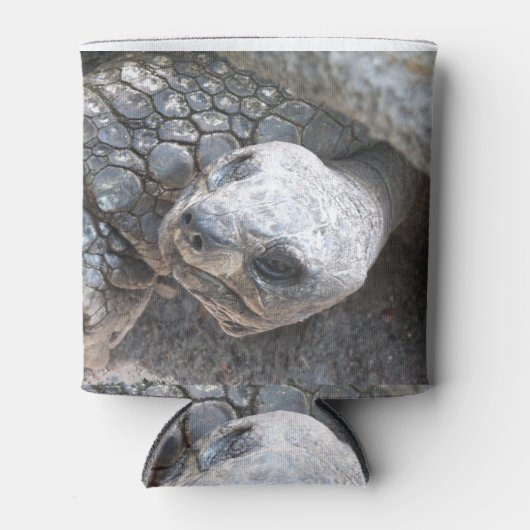 Tortoise Face Blikjeskoeler (Voorkant)