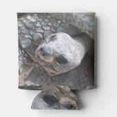 Tortoise Face Blikjeskoeler (Achterkant)