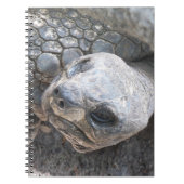 Tortoise Face Notitieboek (Voorkant)