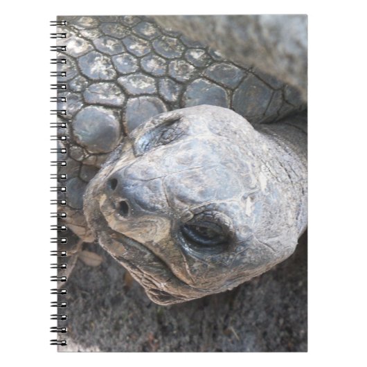 Tortoise Face Notitieboek (Voorkant)