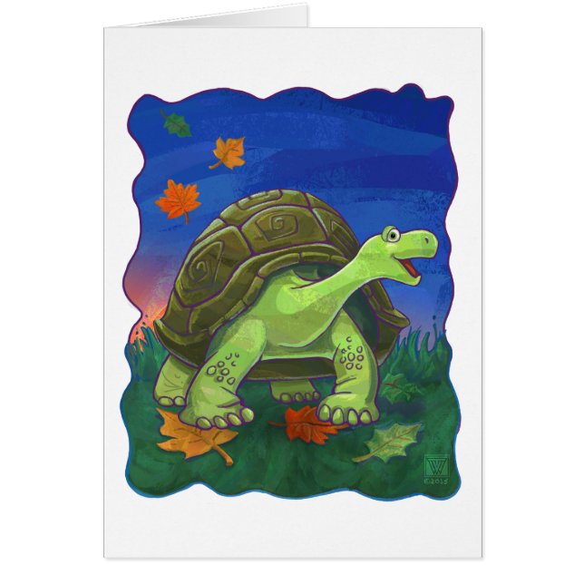Tortoise Gifts & Accessoires (Voorkant)