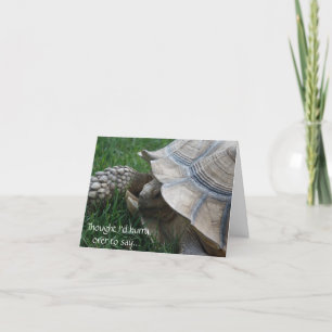 Tortoise Hathday Card Kaart