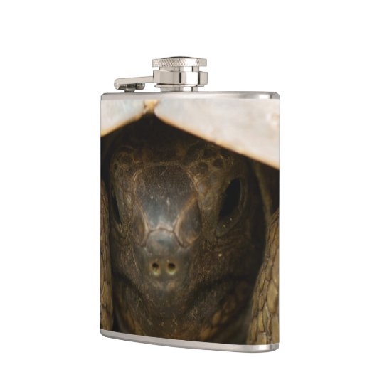 Tortoise Heupfles (Links)