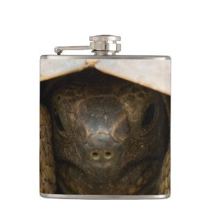 Tortoise Heupfles