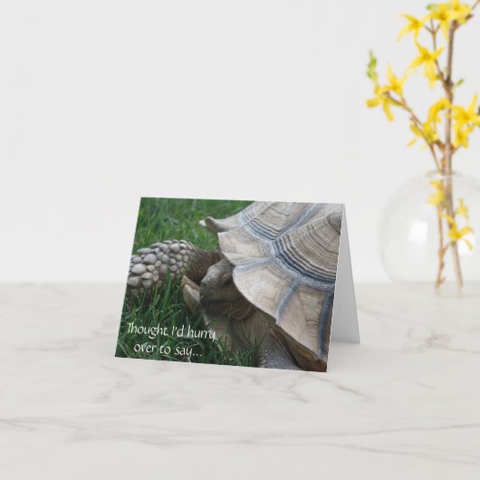 Tortoise Hurry Verjaardag Kaart (Gele Bloem)